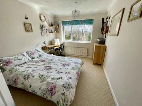 Semi-Detached House Main Photo