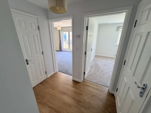 Apartment Main Photo