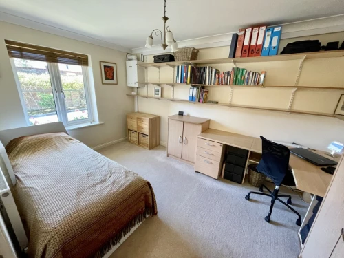 Apartment Main Photo