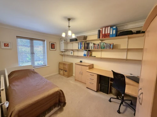 Apartment Main Photo