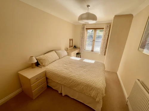 Apartment Main Photo