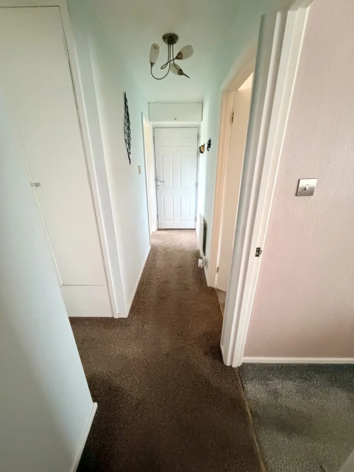 Apartment Main Photo